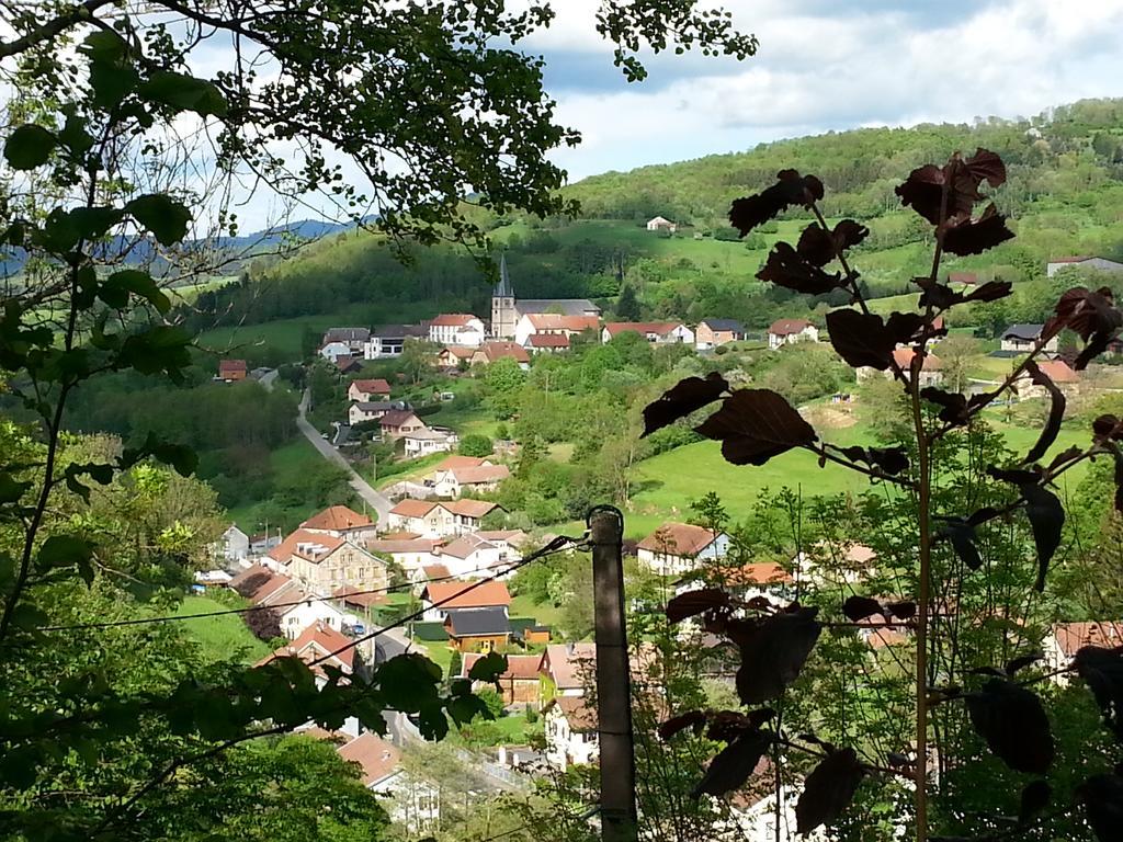 Giteovosges La Croix-aux-Mines Extérieur photo